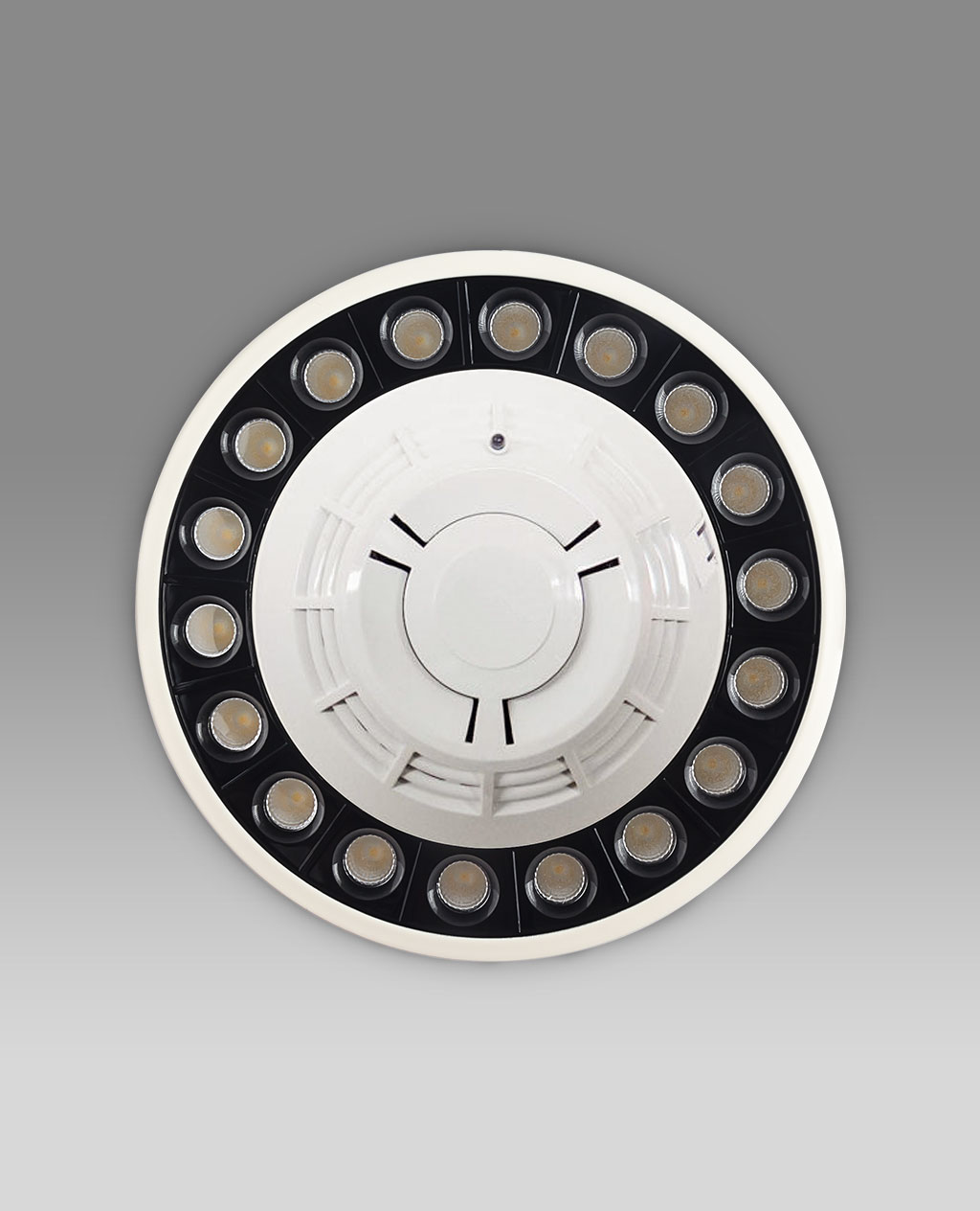 Product-Meno-Web_top-view-07