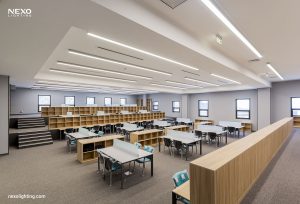 university lighting, NEXO