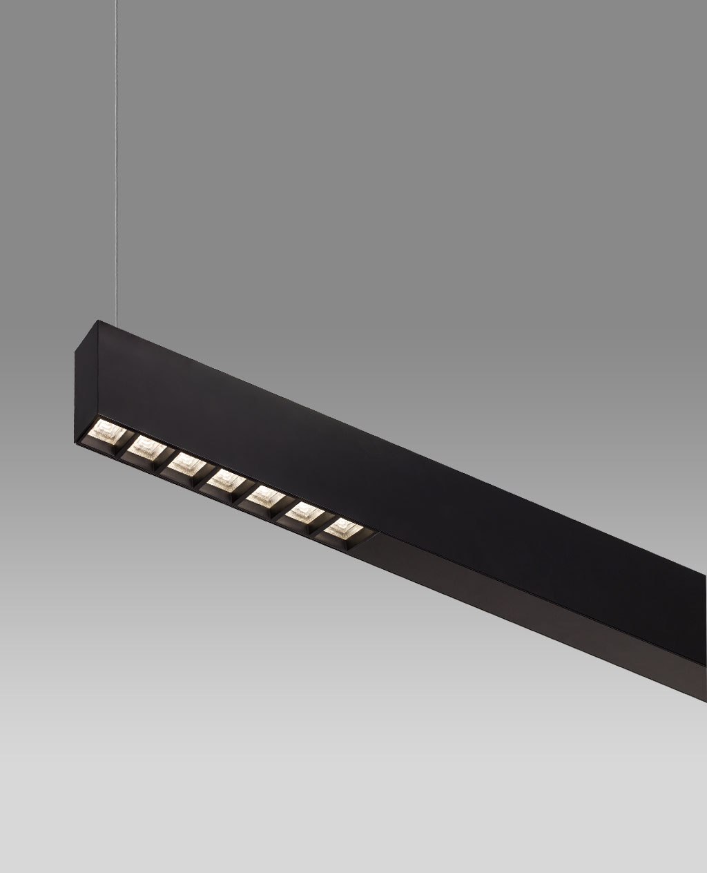 Proline pendant luminaire