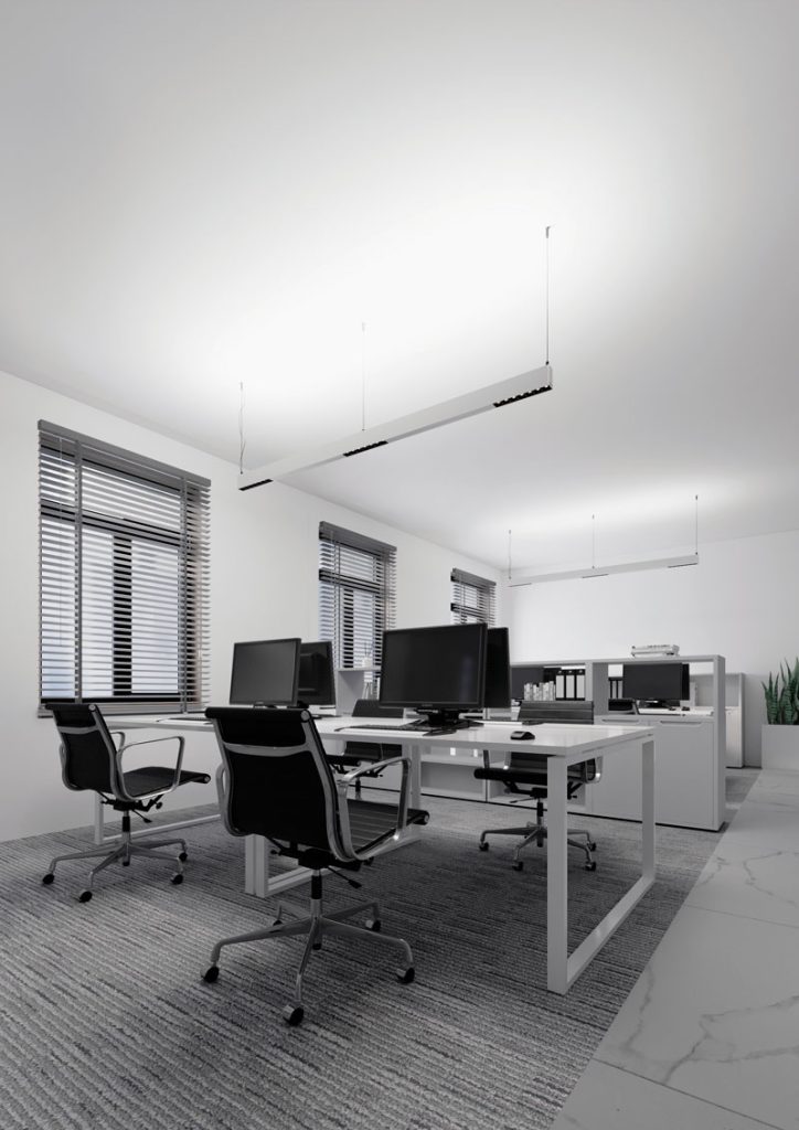 Proline pendant luminaire