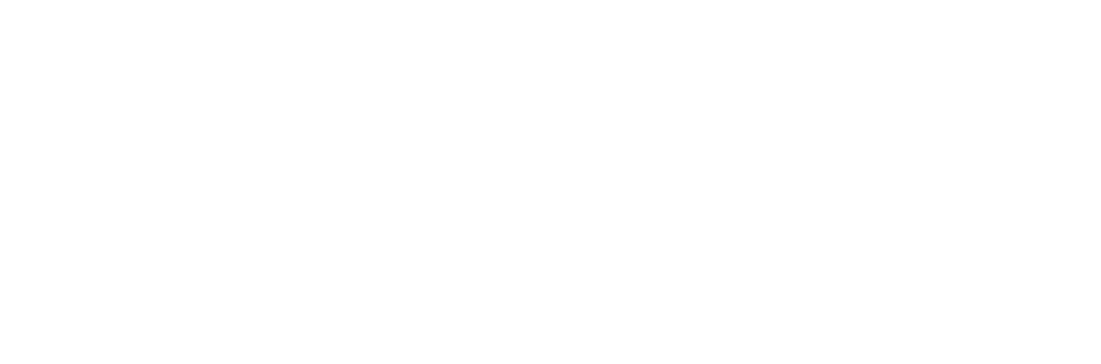 NEXO logo white