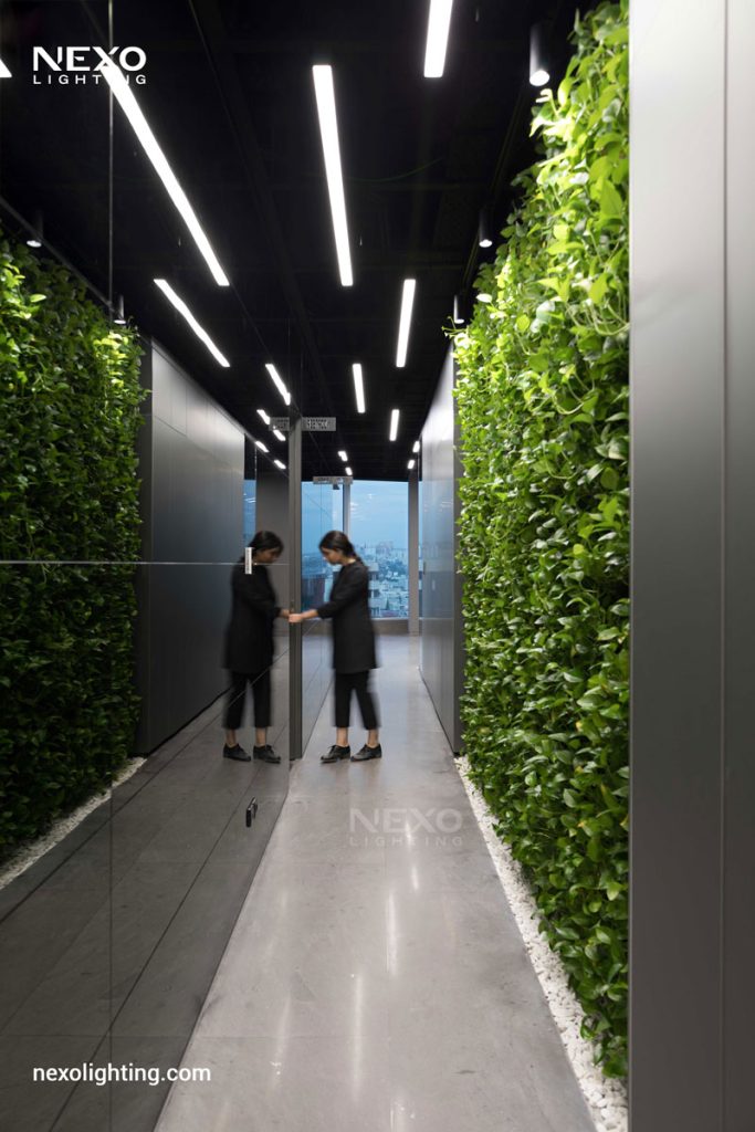The NEXO linear lights in Reflection office