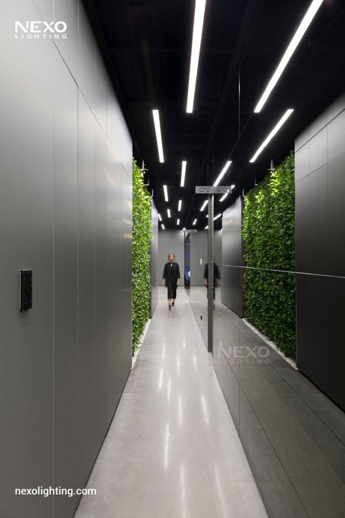The NEXO linear lights in Reflection office