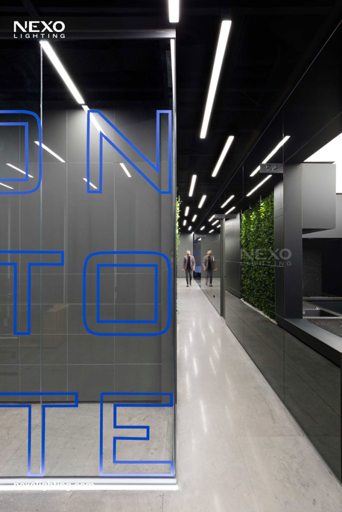 The NEXO linear lights in Reflection office