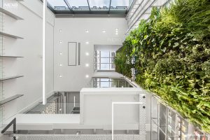pharmacy lighting, NEXO