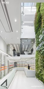pharmacy lighting, NEXO
