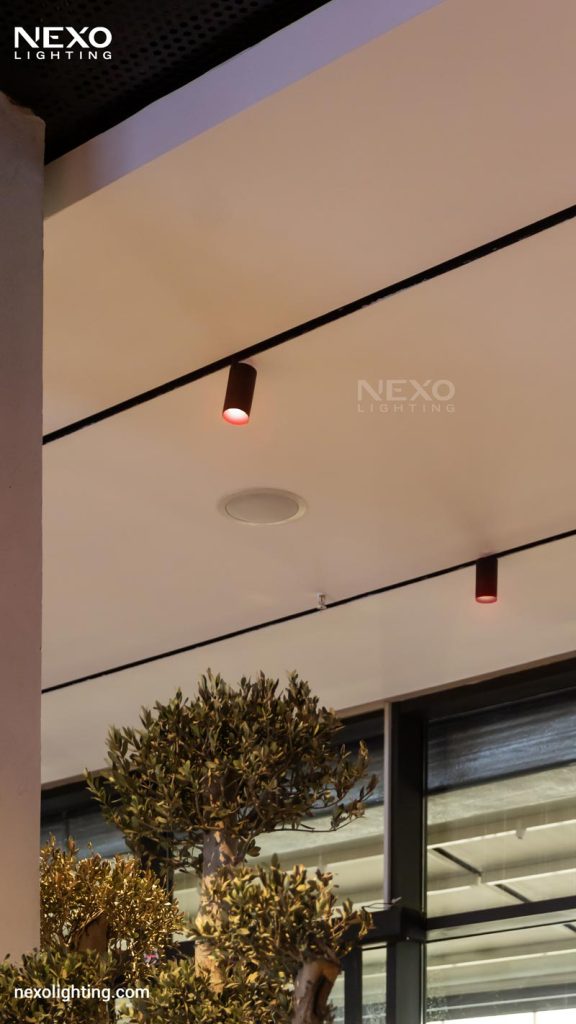 lighting design of ALAÏA Restaurant, NEXO