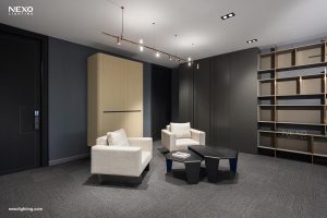 Suzuki office project lighting, NEXO