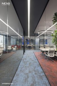 Suzuki office project lighting, NEXO