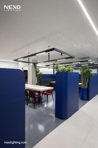 Suzuki office project lighting, NEXO