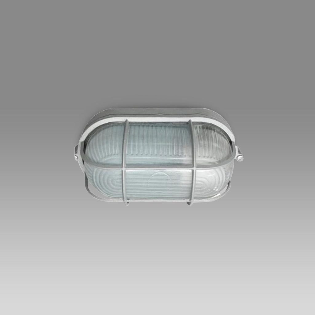 Tunnel light