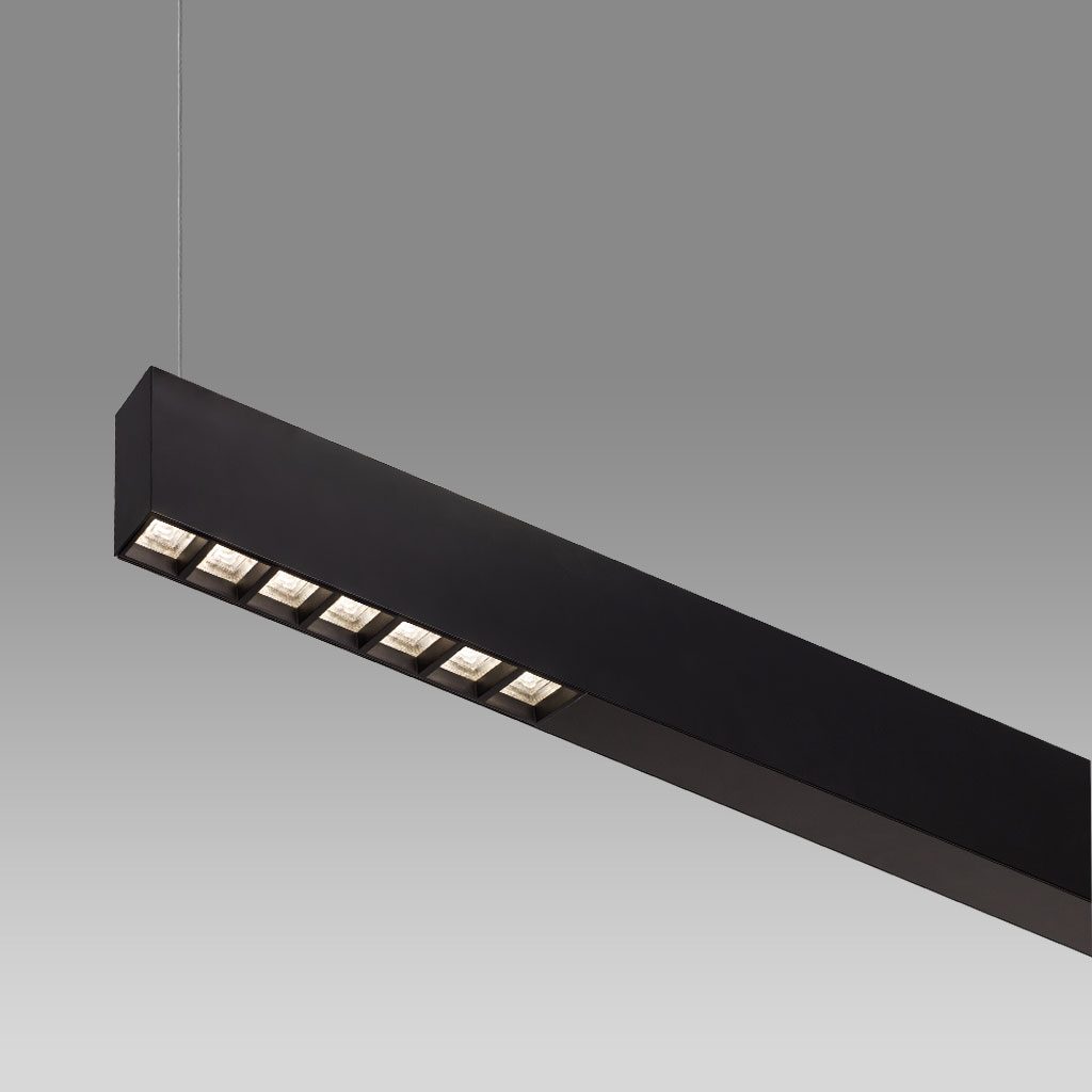 Proline pendant luminaire